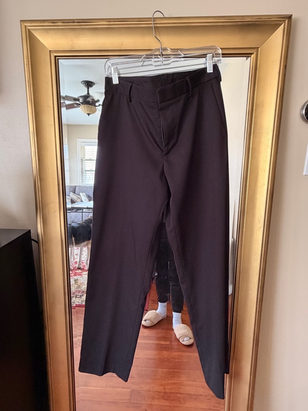Van Heusen Black Men's Dress Pants - Straight Fit